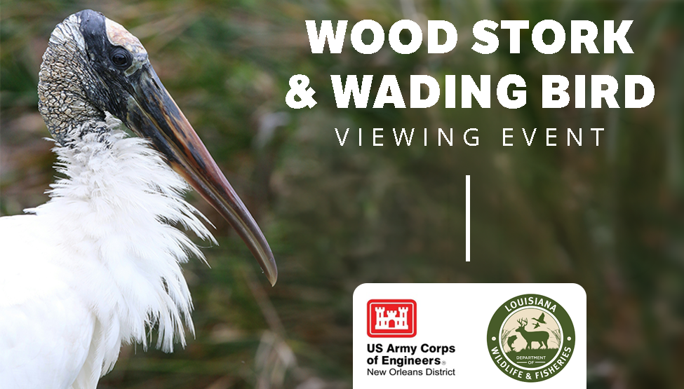 Wood Stork & Wading Bird Viewing Event